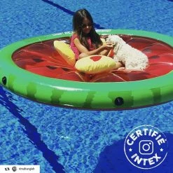 Pastèque Gonflable Grand Modèle 1.83 M Intex -Ledepot-bailleul Soldes Magasin pasteque gonflable grand modele 183 m intex 2